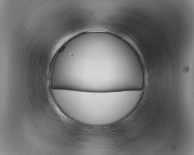 X0000114131485200910080950