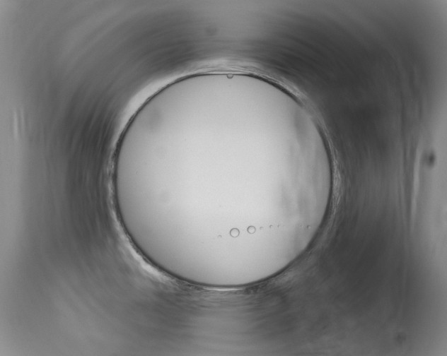 X0000114131486200910080950