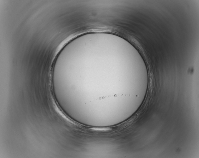 X0000114131487200910080950