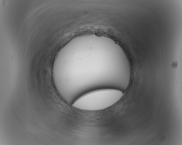 X0000114131489200910080949