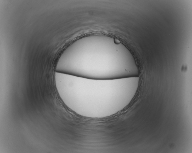 X0000114131490200910080949