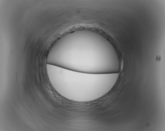 X0000114131492200910080949