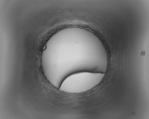 X0000114131493200910080949