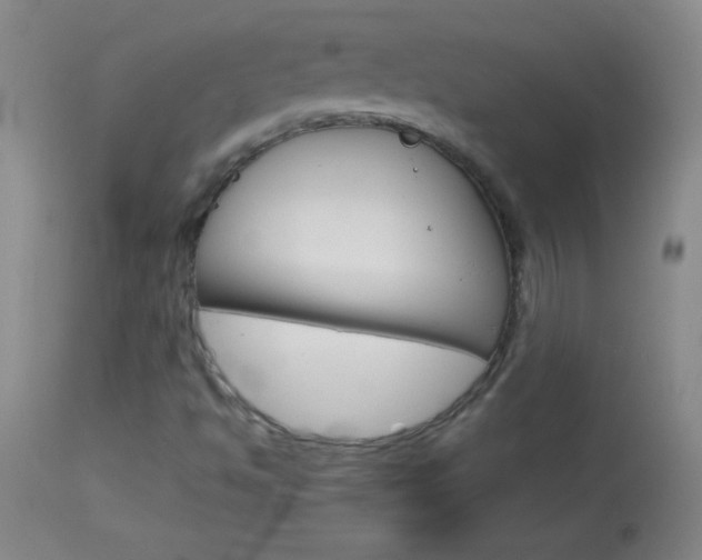X0000114131494200910080950