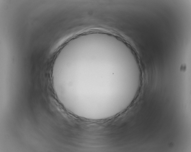 X0000114131496200910080950
