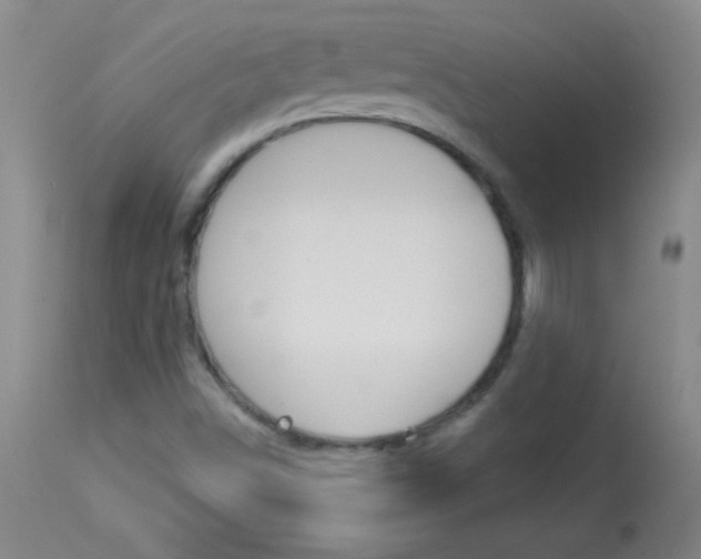 X0000114131498200910080950