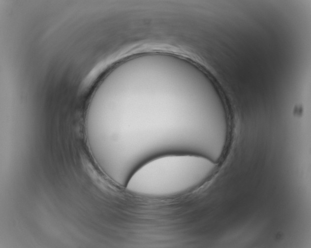 X0000114131499200910080950