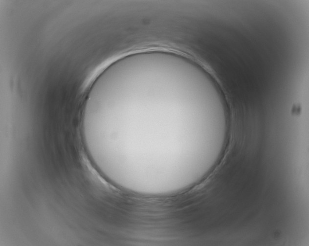 X0000114131500200910080950
