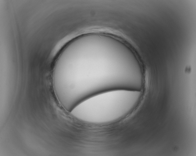 X0000114131501200910080950