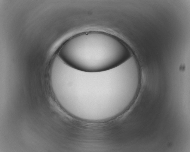 X0000114131502200910080950