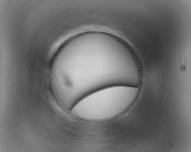 X0000114131503200910080950