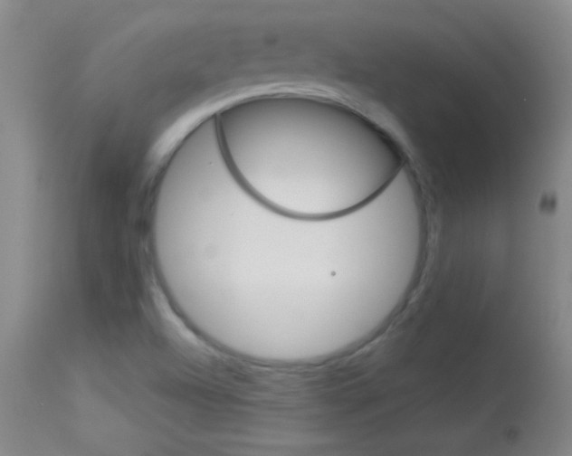 X0000114131504200910080950