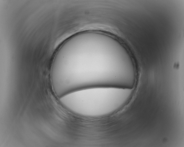 X0000114131505200910080950