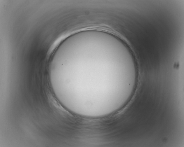X0000114131506200910080950