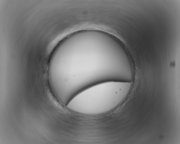 X0000114131507200910080950