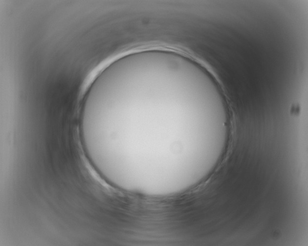 X0000114131508200910080950