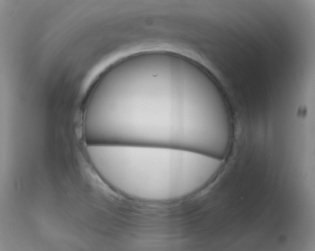X0000114131510200910080950