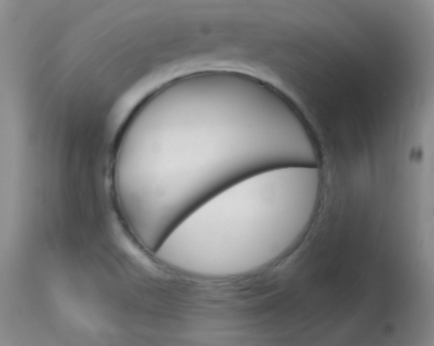 X0000114131511200910080950