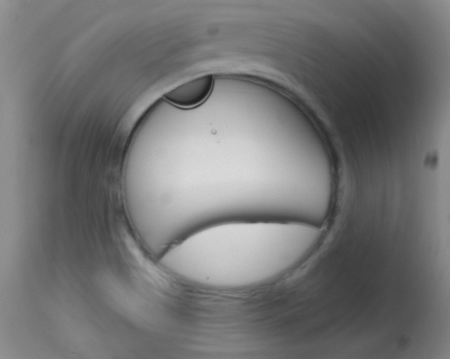 X0000114131513200910080950