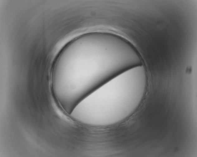 X0000114131515200910080950