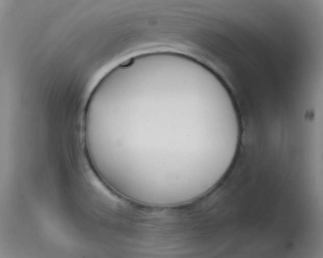 X0000114131516200910080950