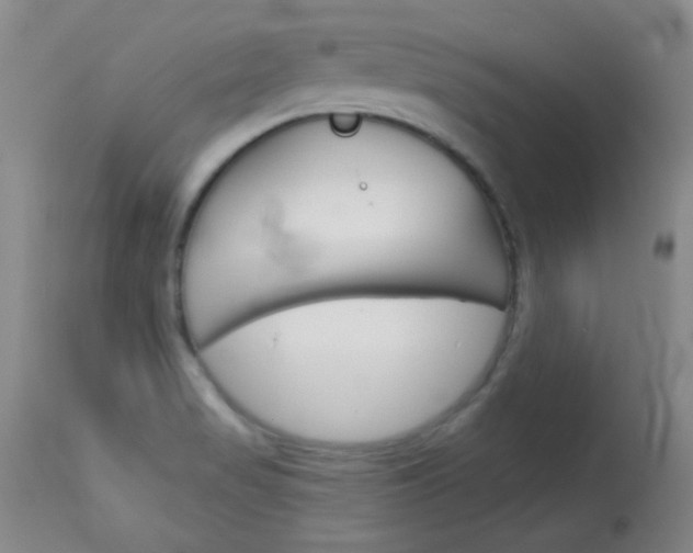 X0000114131517200910080950