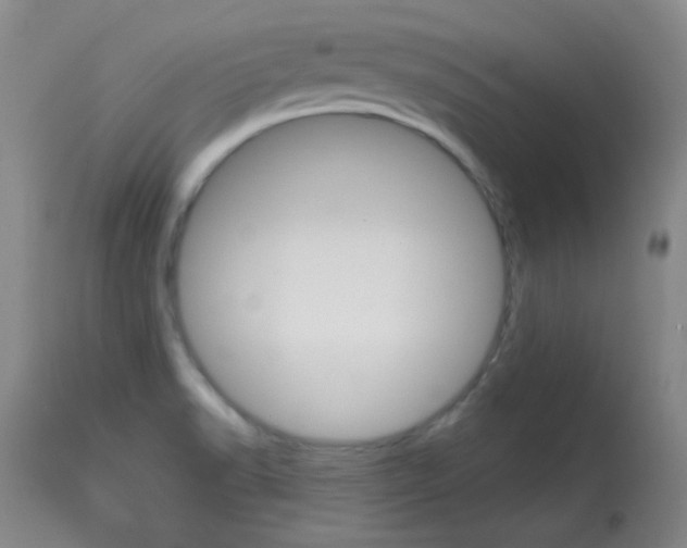 X0000114131518200910080950