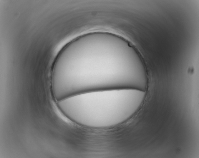 X0000114131519200910080950