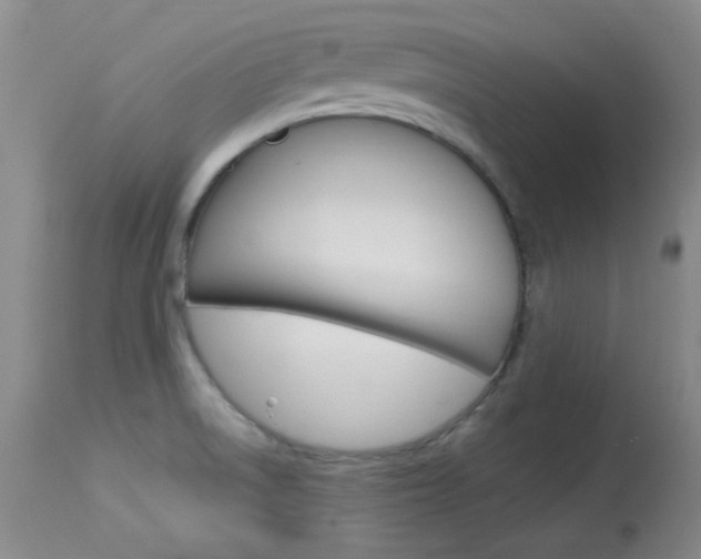 X0000114131522200910080950