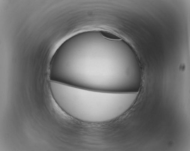 X0000114131524200910080950