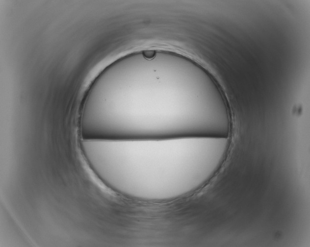 X0000114131525200910080950