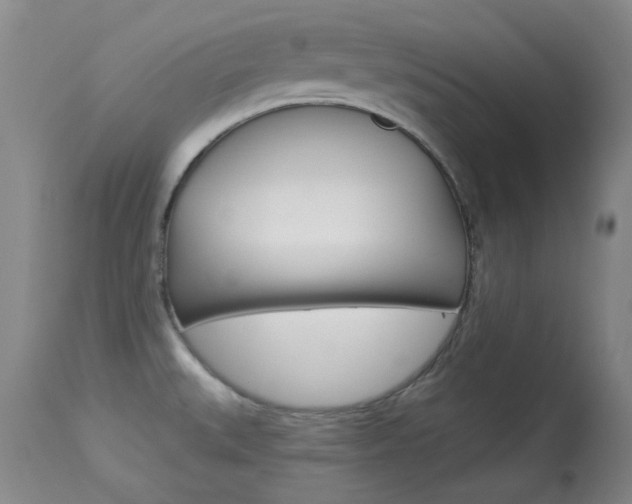 X0000114131527200910080950