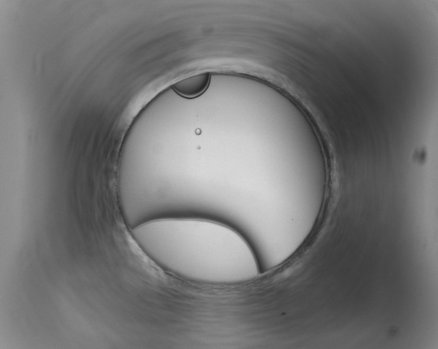 X0000114131529200910080950