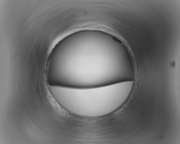 X0000114131530200910080950