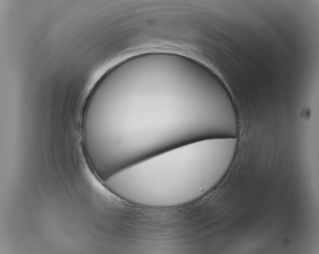 X0000114131531200910080950