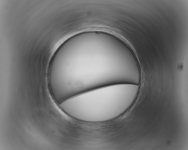 X0000114131533200910080950
