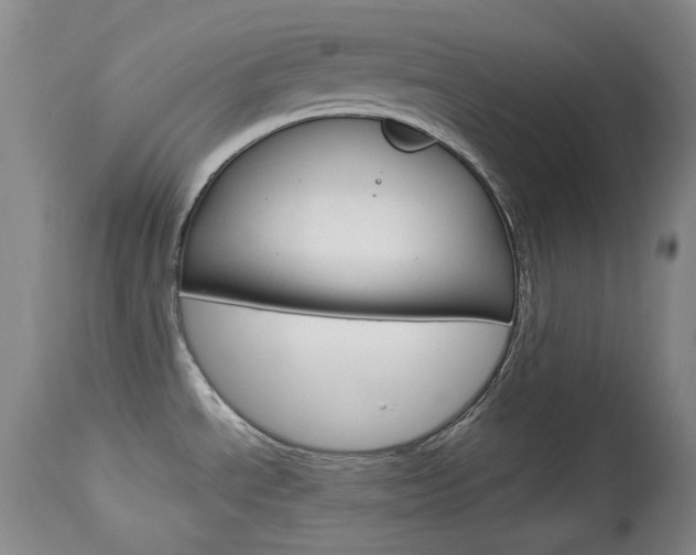 X0000114131534200910080950