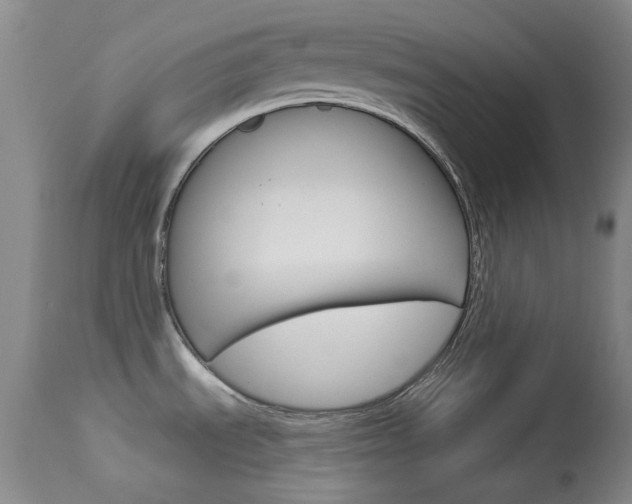X0000114131535200910080950