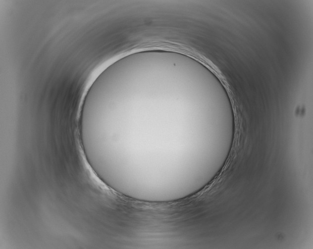 X0000114131536200910080950