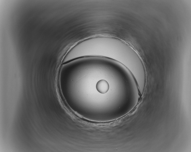 X0000114130001200910081254