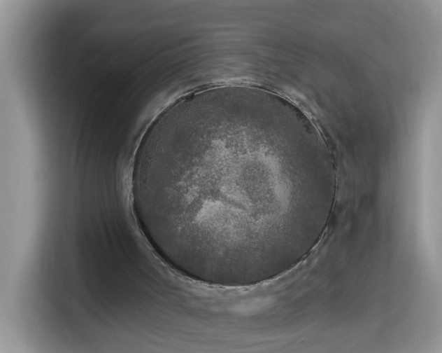 X0000114130002200910081254