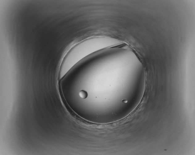 X0000114130003200910081254