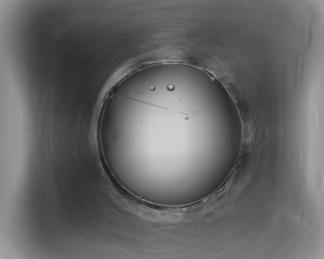 X0000114130004200910081254
