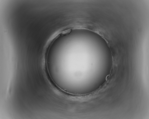 X0000114130005200910081254