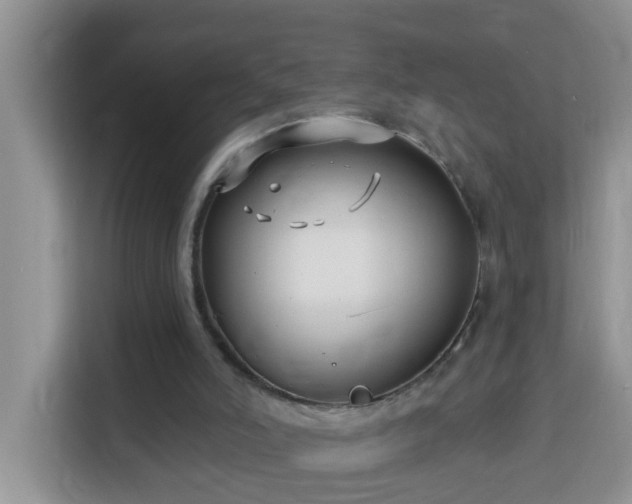 X0000114130006200910081254