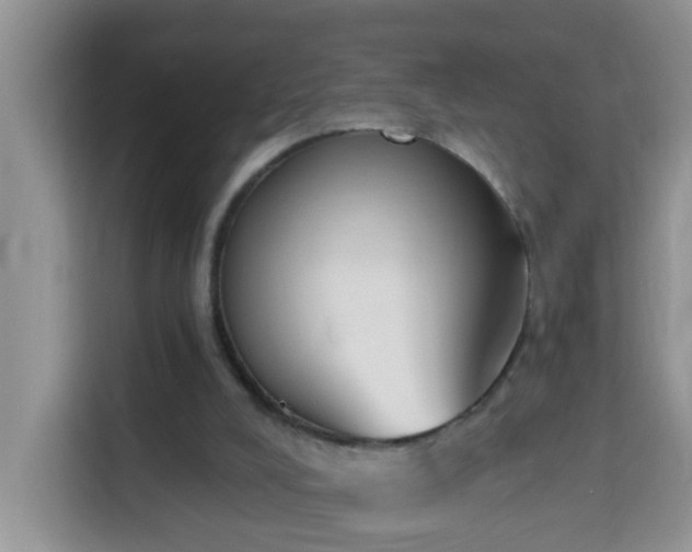 X0000114130008200910081254