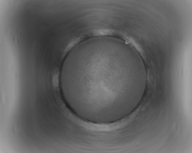X0000114130010200910081254