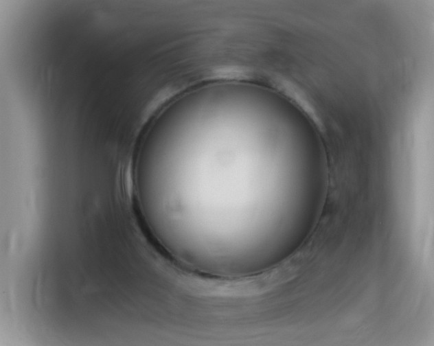 X0000114130011200910081254