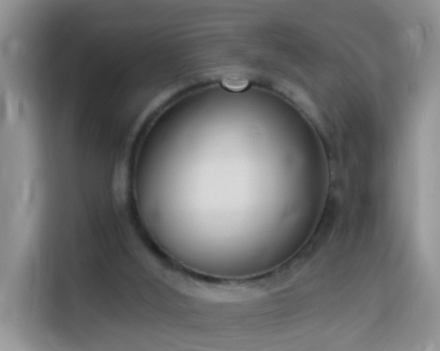 X0000114130012200910081254