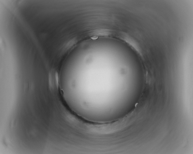 X0000114130013200910081254